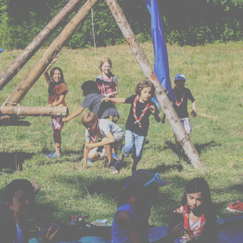 Accompagnez les jeunes à découvrir la nature