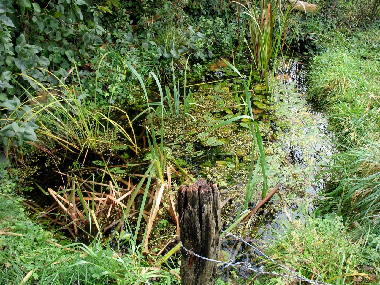 Défi : 100 refuges de biodiversité avant l&rsquo;été