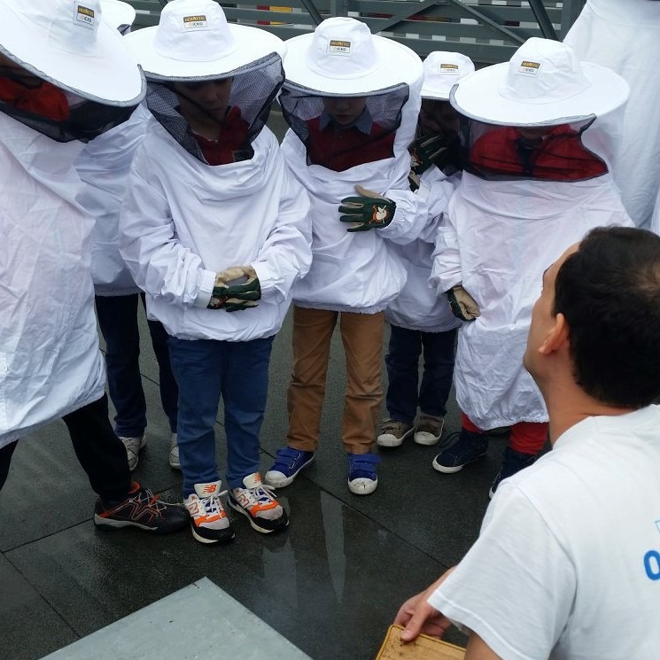 Animez des ateliers sur les abeilles avec des enfants