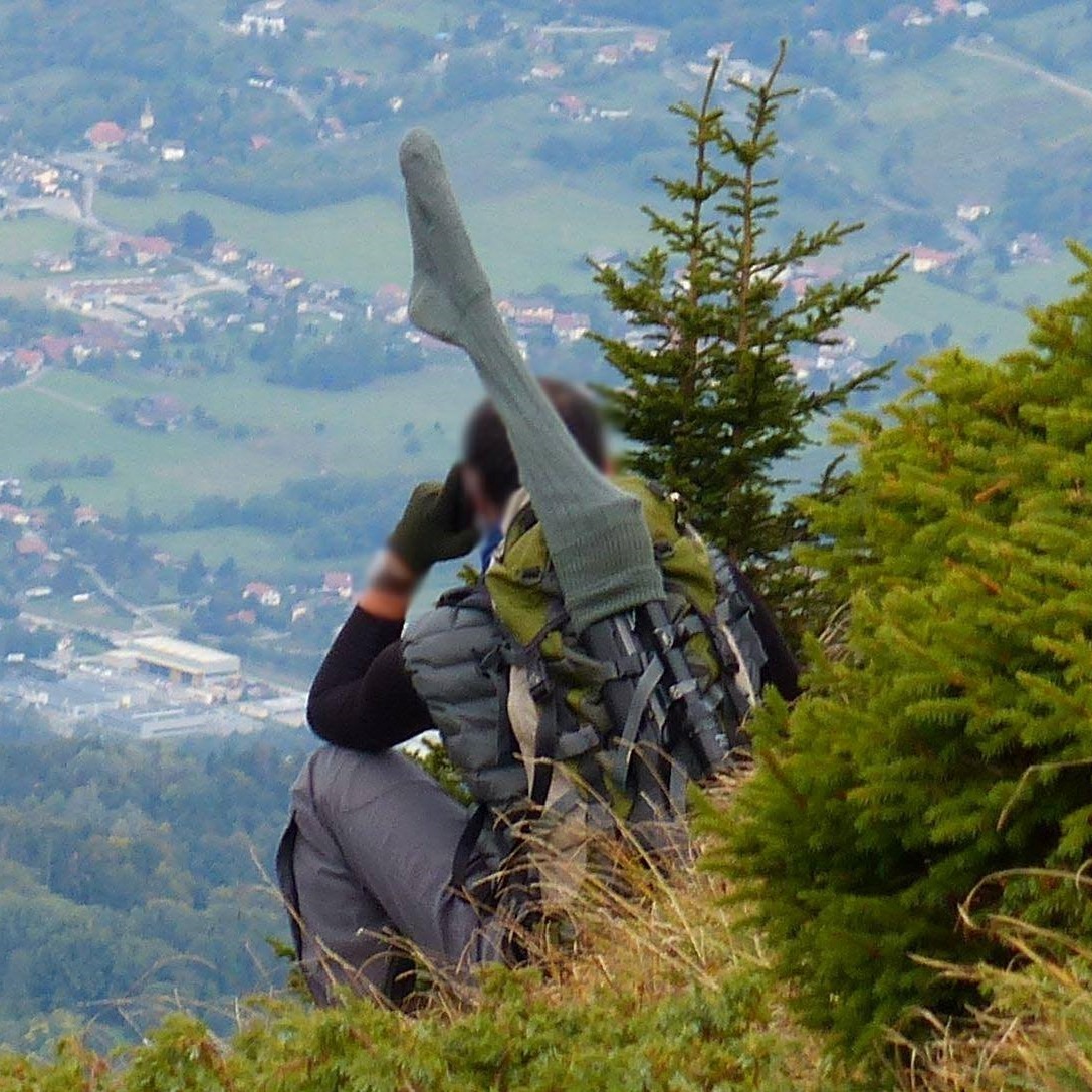 Partagez des manières d’accueillir la biodiversité pendant des événements