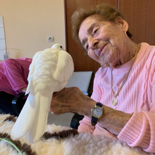 Une séance de zoothérapie donnée par Marion avec des animaux