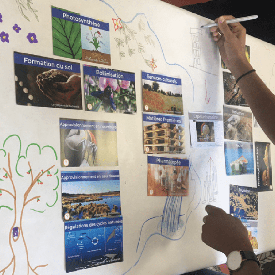 Animez un atelier pour faire connaître les enjeux de la biodiversité