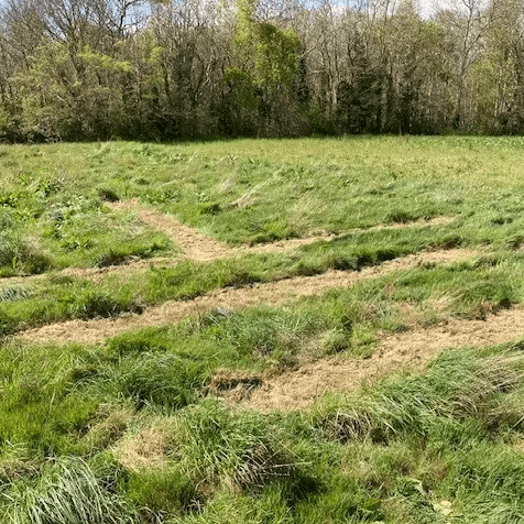 Contribuez à l’autonomie alimentaire des luttes écologistes et solidaires