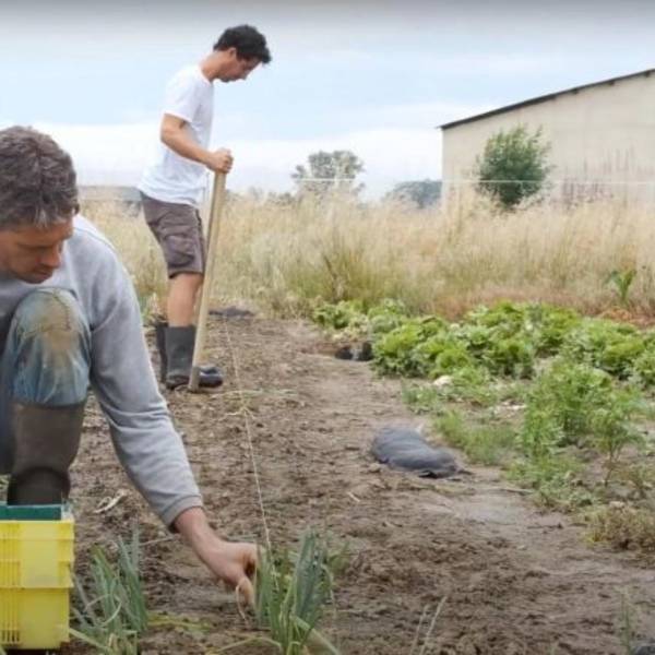 Troquez votre chaise de bureau pour un chapeau de paille