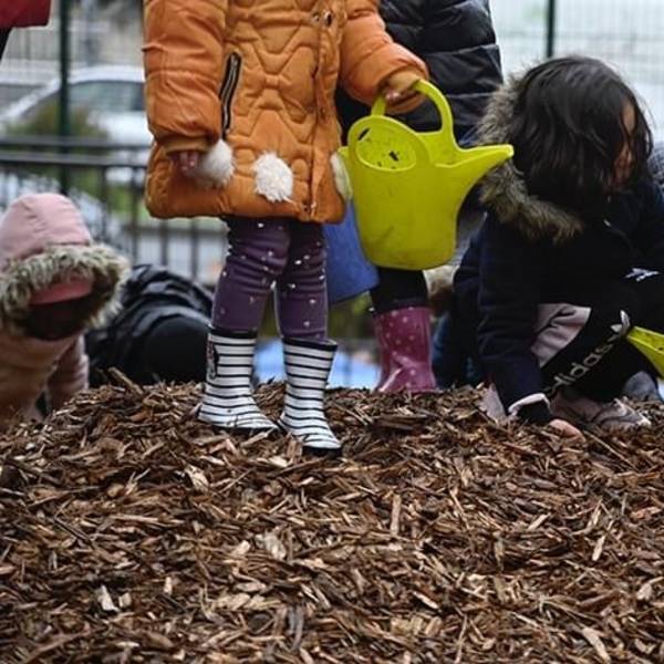 Récupérez des boutures de rue pour végétaliser la ville