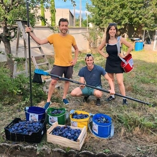 Participez à des récoltes solidaires pendant la belle saison dans le Val de Saône