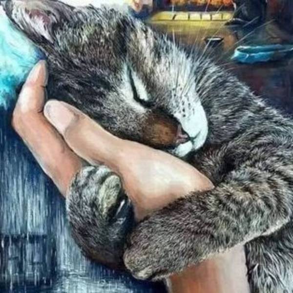 Redonnez leur liberté aux chats errants de Gerland