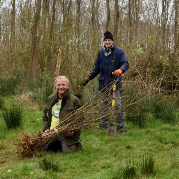 Récoltez de jeunes arbres avant qu&rsquo;ils ne soient détruits