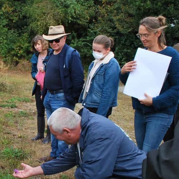 Devenez « pollinis&rsquo;acteur »